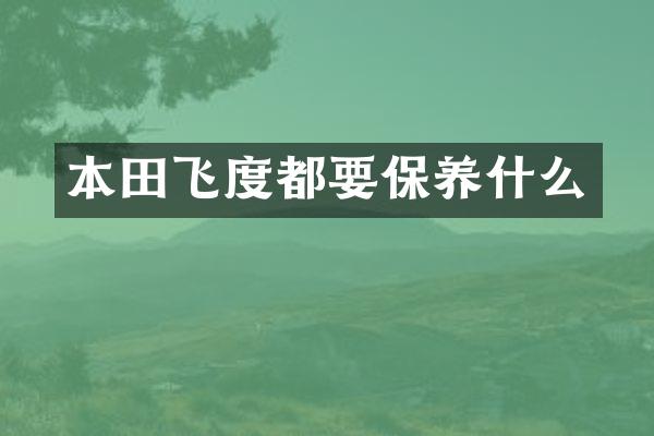 本田飞度都要保养什么