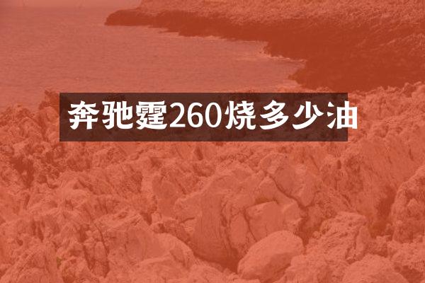 奔驰霆260烧多少油
