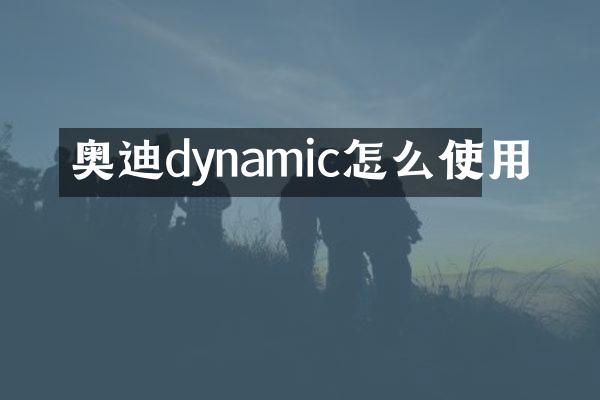 奥迪dynamic怎么使用
