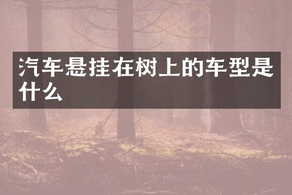 汽车悬挂在树上的车型是什么