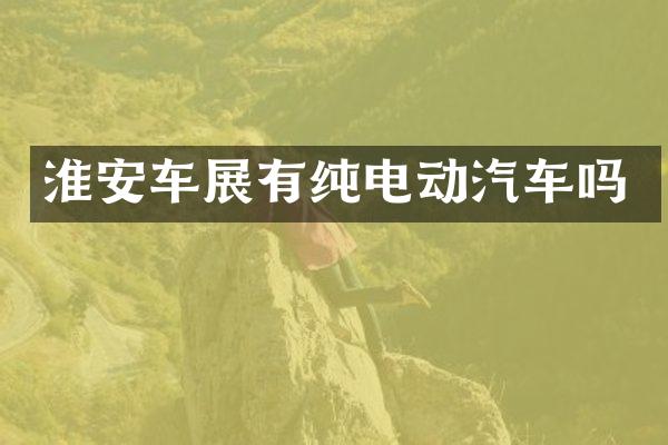 淮安车展有纯电动汽车吗