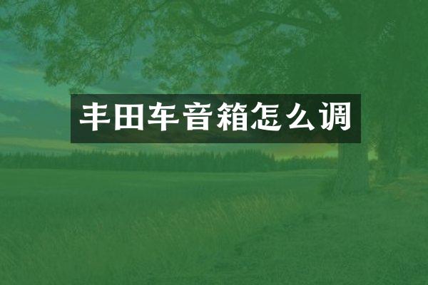 丰田车音箱怎么调