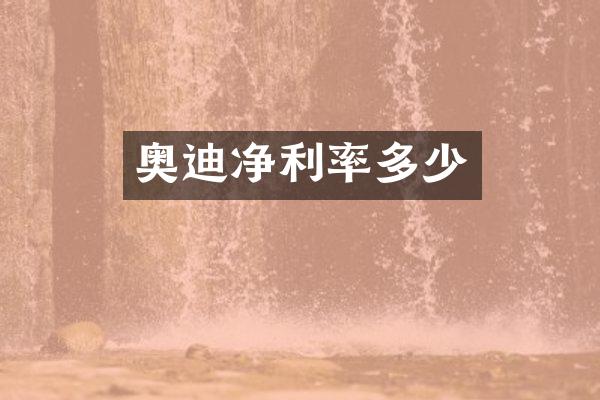 奥迪净利率多少