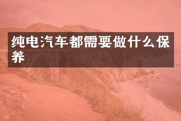 纯电汽车都需要做什么保养