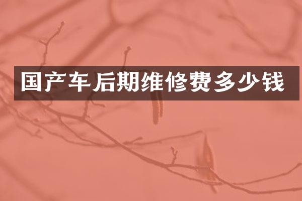 国产车后期维修费多少钱