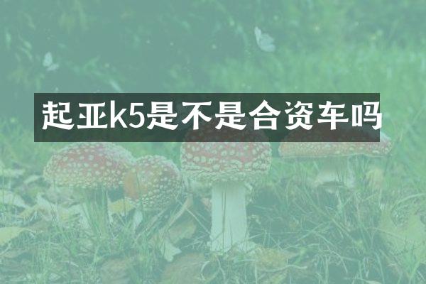 起亚k5是不是合资车吗