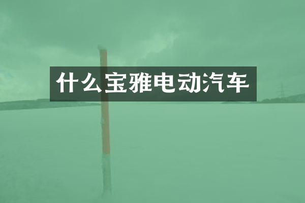 什么宝雅电动汽车