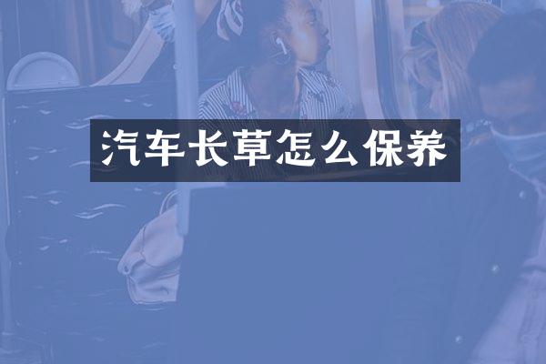 汽车长草怎么保养