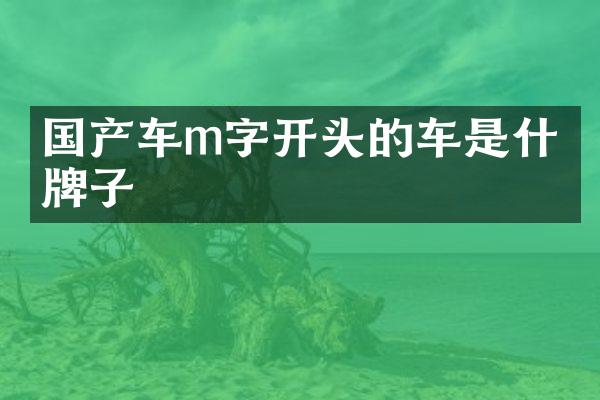 国产车m字开头的车是什么牌子