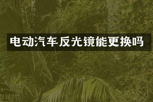 电动汽车反光镜能更换吗