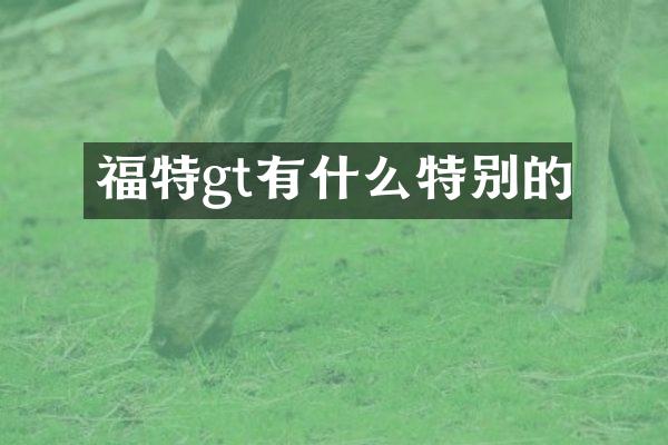 福特gt有什么特别的