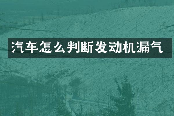 汽车怎么判断发动机漏气