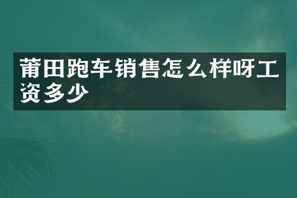 莆田跑车销售怎么样呀工资多少