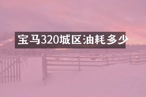 宝马320城区油耗多少