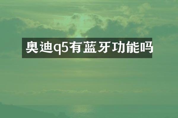 奥迪q5有蓝牙功能吗