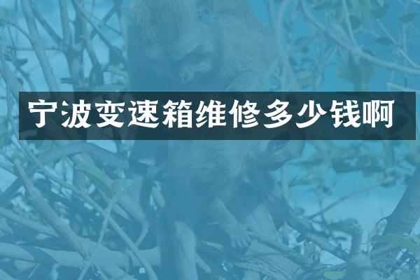 宁波变速箱维修多少钱啊