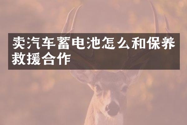 卖汽车蓄电池怎么和保养救援合作