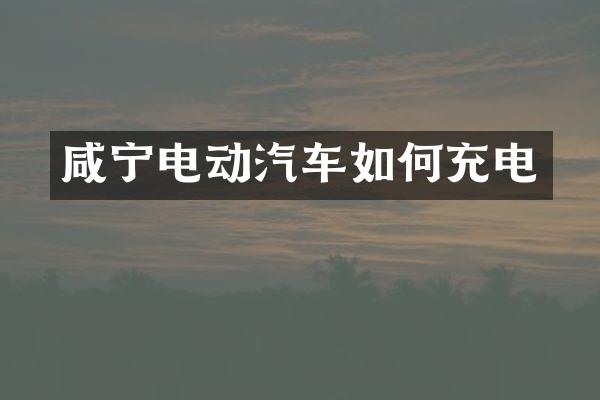 咸宁电动汽车如何充电