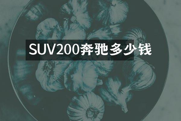 SUV200奔驰多少钱