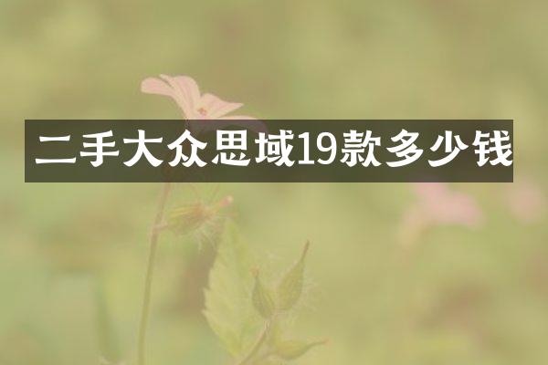 二手大众思域19款多少钱