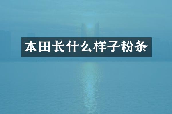 本田长什么样子粉条