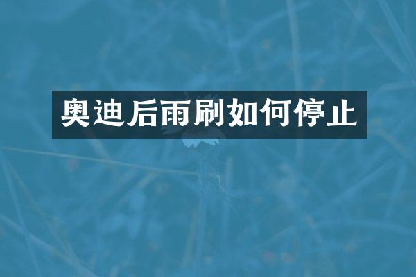 奥迪后雨刷如何停止