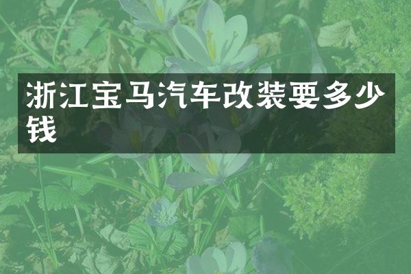 浙江宝马汽车改装要多少钱