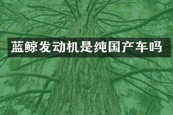 蓝鲸发动机是纯国产车吗