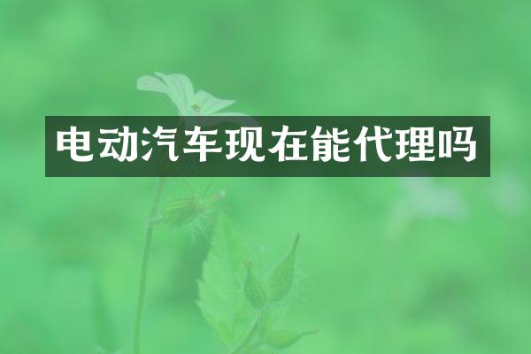 电动汽车现在能代理吗