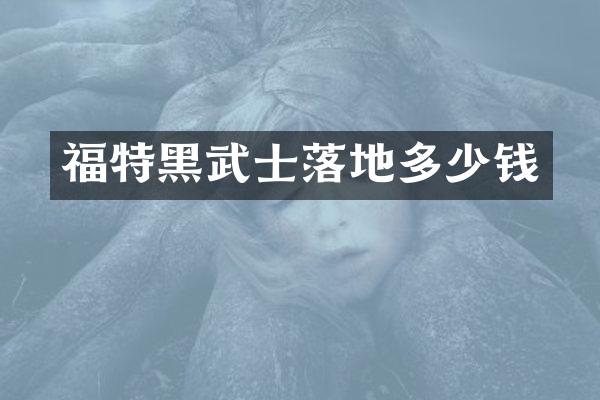 福特黑武士落地多少钱