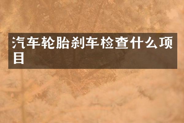 汽车轮胎刹车检查什么项目