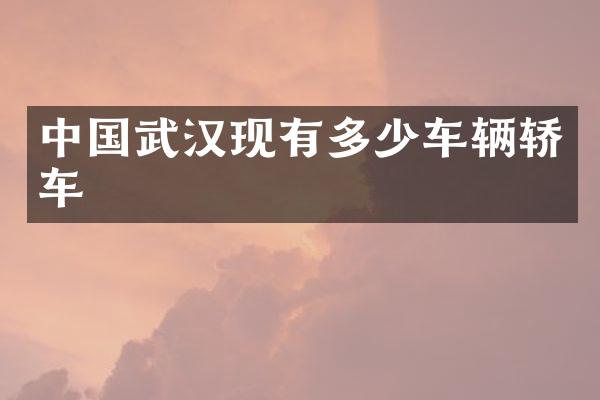中国武汉现有多少车辆轿车