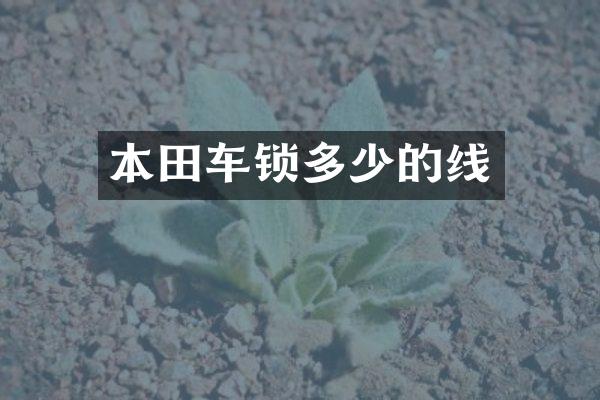 本田车锁多少的线