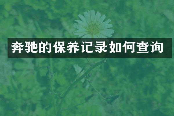 奔驰的保养记录如何查询