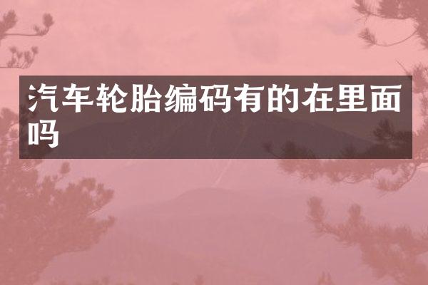 汽车轮胎编码有的在里面吗