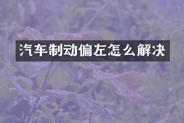 汽车制动偏左怎么解决
