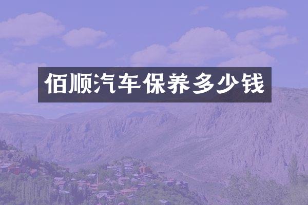 佰顺汽车保养多少钱