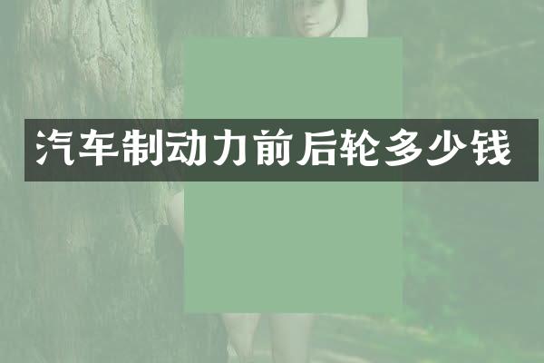汽车制动力前后轮多少钱