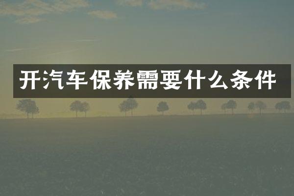开汽车保养需要什么条件