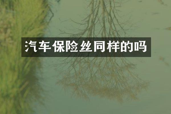 汽车保险丝同样的吗