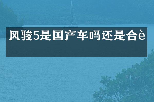 风骏5是国产车吗还是合资