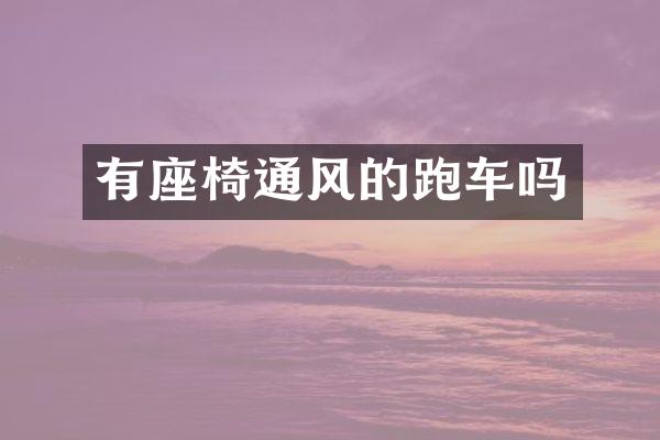 有座椅通风的跑车吗