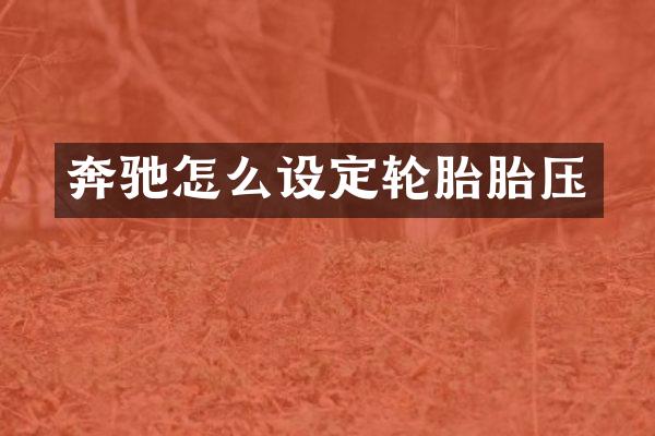 奔驰怎么设定轮胎胎压