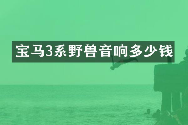 宝马3系野兽音响多少钱