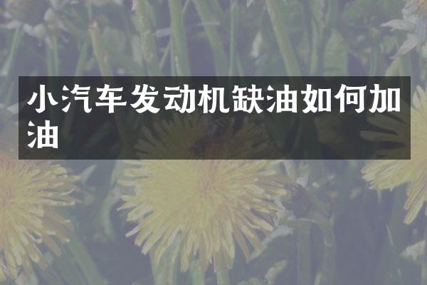 小汽车发动机缺油如何加油