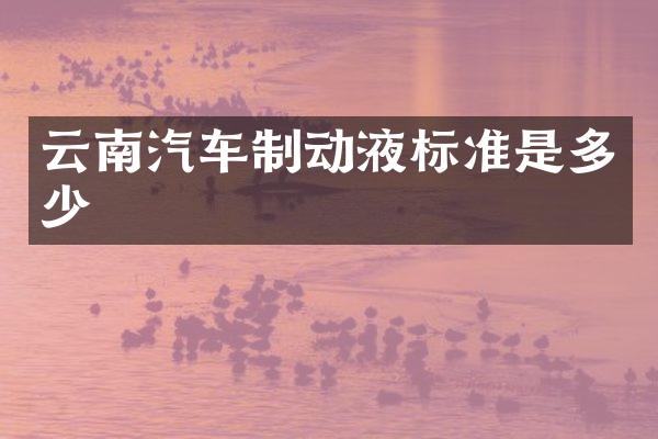 云南汽车制动液标准是多少