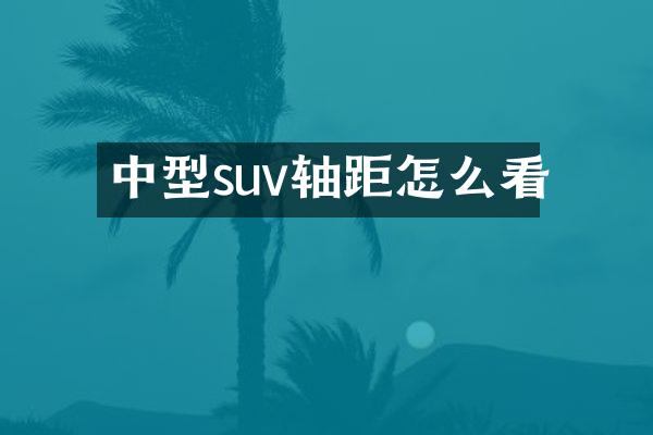 中型suv轴距怎么看