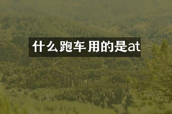 什么跑车用的是at