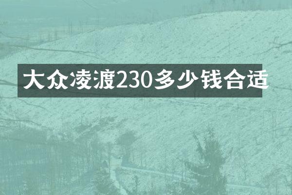 大众凌渡230多少钱合适