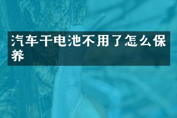汽车干电池不用了怎么保养